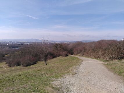 Foto von Franzis Schrammel entlang der Tour