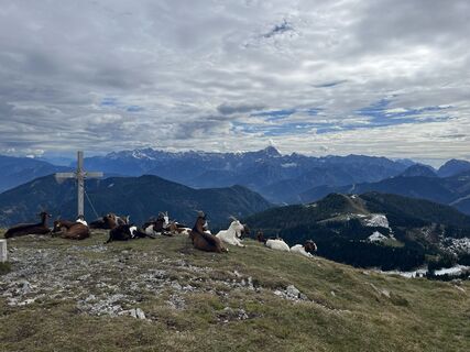 Photo de Christoph Eymannsberger le long du parcours