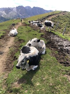 Foto von PRO1E entlang der Tour