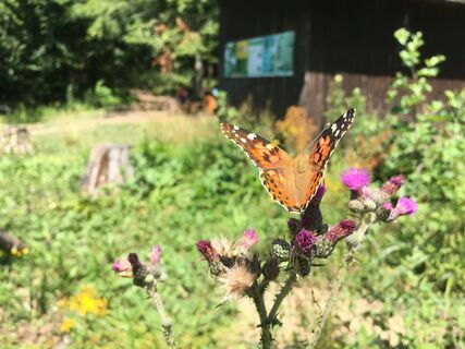 Naturpark Purkersdorf