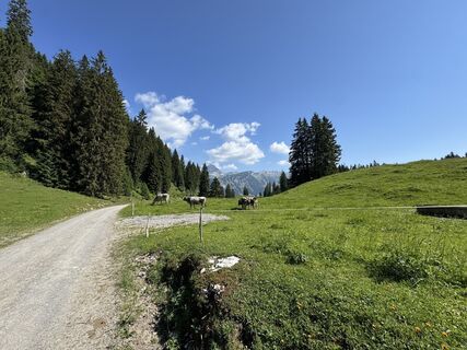 Foto von Rolf Litscher 1 entlang der Tour