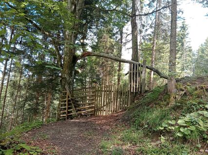Photo de handshifter le long du parcours