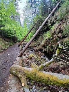 Foto von Daniel Kremiec entlang der Tour