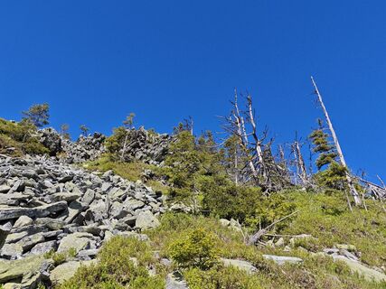 Fotografie z Bergpirat na trase