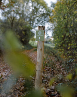 Waldretter-Trail_Herbst_HighRes-8