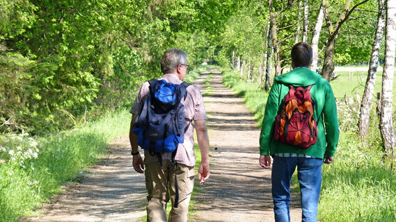 Auf einem Feldweg entlang zum Landeswald Schierk