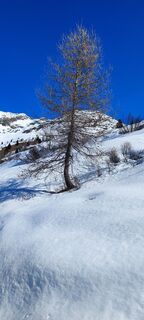 Foto von Nicoletta Carminati entlang der Tour