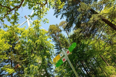 Symbolbild Wanderweg mit Windrad und Hauptwegweiser