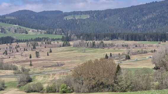 Foto von Thomi W entlang der Tour