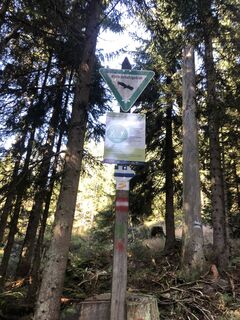 Photo de Harald Pröll le long du parcours