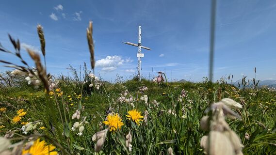 Foto fra Klaus Lehner undervejs på turen