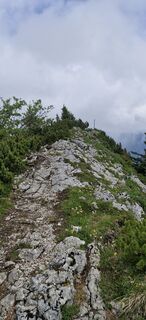 Foto von Heidi L entlang der Tour