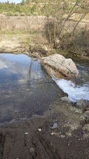 Fotografia z W B MA na trase