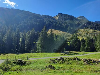 Foto von Wanderbursche66 entlang der Tour