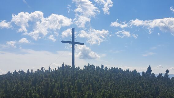 Fotografie z Koenig Doris na trase