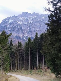 Fotografie z Carinossi na trase