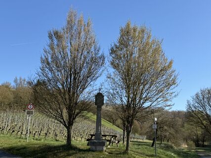 Fotografie z Norbert Herbig na trase