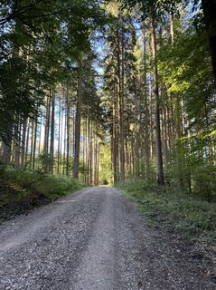 Foto von Denise Miller entlang der Tour
