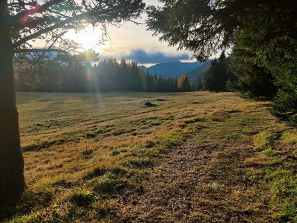 Fotografie de la Martin Londgin de-a lungul turului
