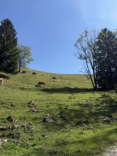 Foto von Lisawald2709 entlang der Tour