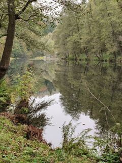 Photo de Rossel Reinhardt1 le long du parcours
