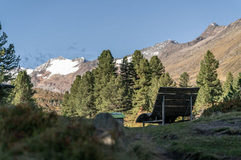 Zirbenwald Obergurgl