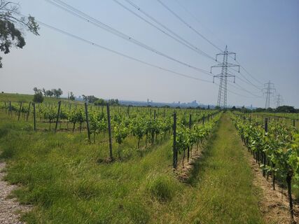 Foto de mmecki a lo largo del recorrido