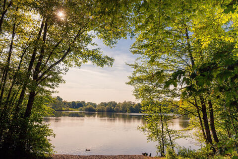Rotbachsee