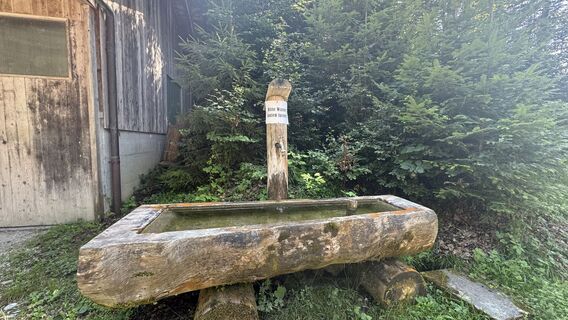 Foto de peter_oe a lo largo del recorrido