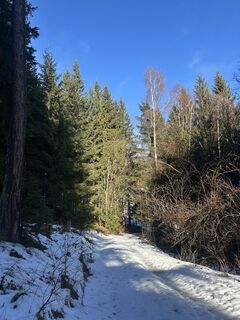 Zdjęcie z Carola Krems wzdłuż trasy