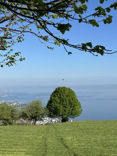 Fotografija s spletne strani Cyrill Bischof na poti