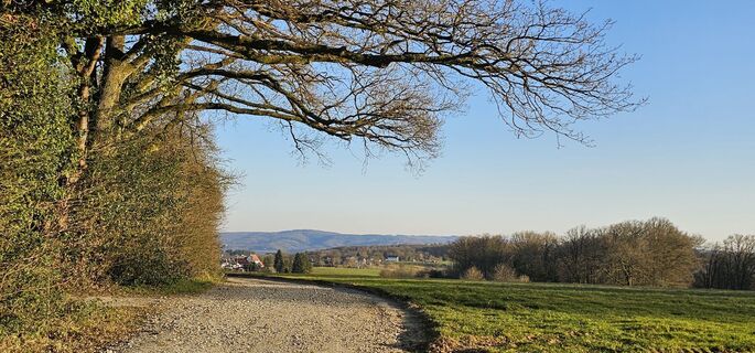 Foto de Wolfgang Riemer a lo largo del recorrido
