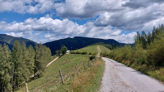 Foto von Max71 entlang der Tour