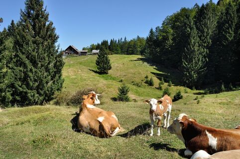 Planina Zgoška Ravan