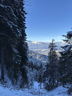 Foto från Heinz Sperl under resans gång