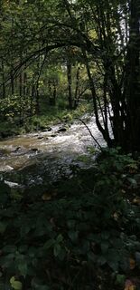 Foto de der heilige geist a lo largo del recorrido
