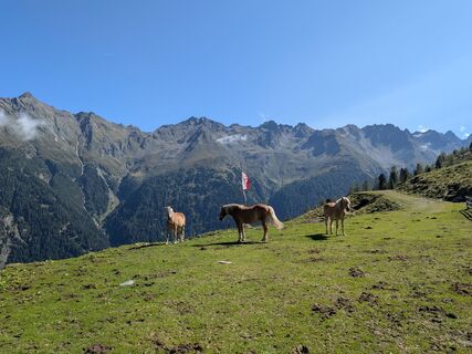 Fotografija s spletne strani Sabrina Hackel na poti