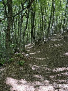 Foto von Ursula entlang der Tour
