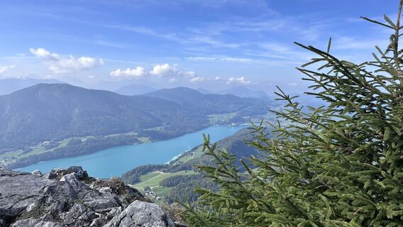 Fotografia z Mountain Cat ? ⛰️ na trase