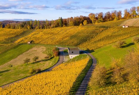 baumgartner-weinbau-ag-herbststimmung-mit-remise