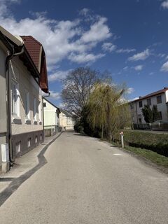 Photo de Andreas Vogel 1 le long du parcours