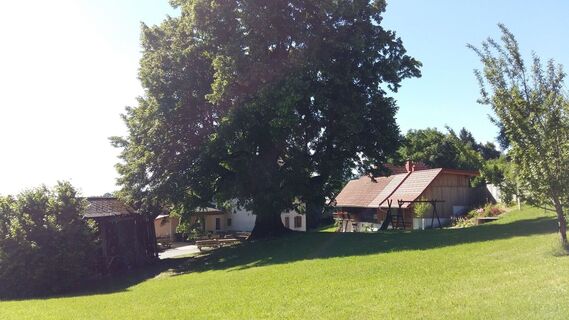 Buschenschank Schachner