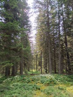 Foto von Hanneshartl1965 entlang der Tour