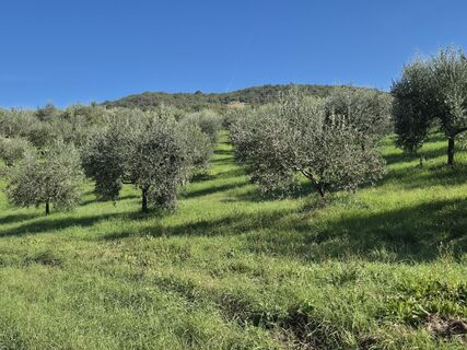 Foto von Thomi W entlang der Tour