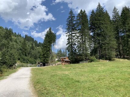 Fotografia z Koen De Wit na trase