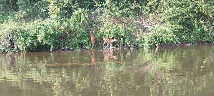 Photo de Riverjunkie le long du parcours