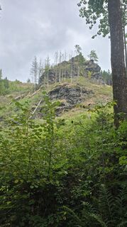 Fotografija s spletne strani Jens na poti