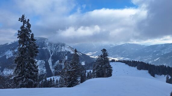 Fotografia z Regina Fleischmann na trase