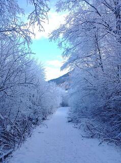 Fotografia z Iris Perkmann na trase