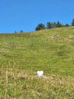 Photo de Irmi♧ le long du parcours